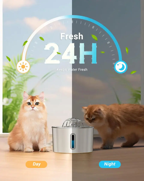 24-hour fresh water circulation feature showing cat using fountain during day and night.