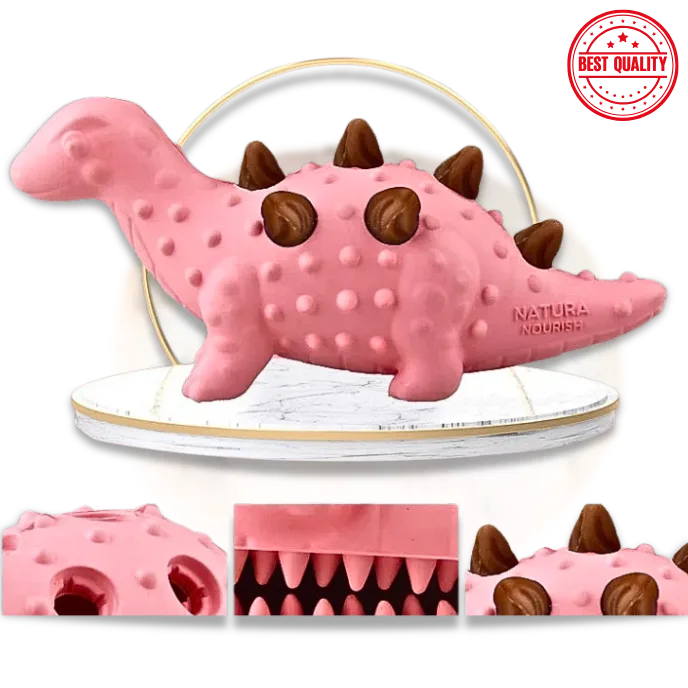Dog Toy Treat Chew – Teeth Cleaning Snack for Dogs