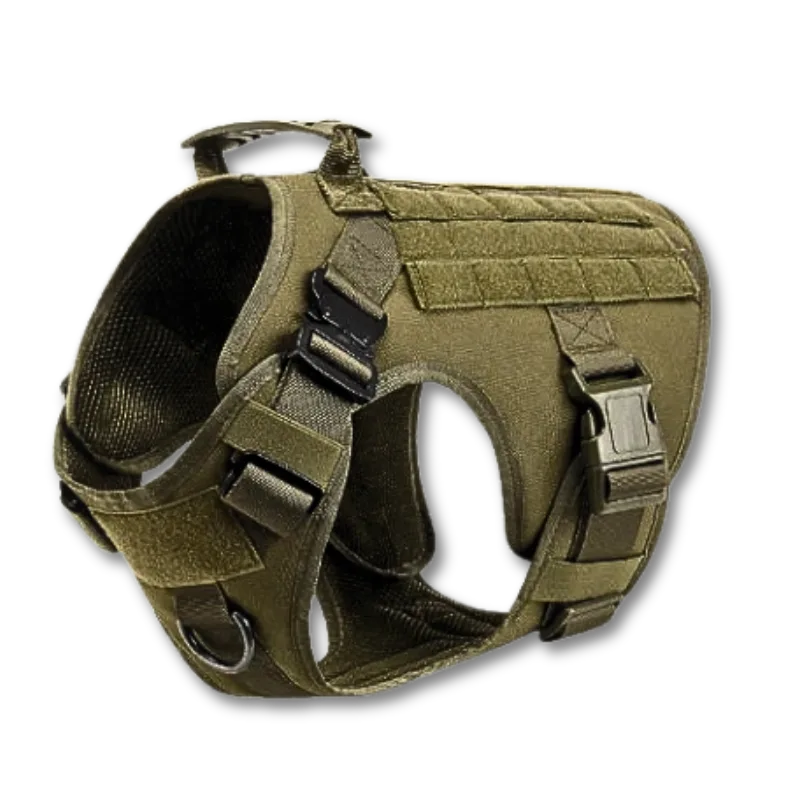 Tactical Nylon Dog Vest – Outdoor Training & Quick Release Harness