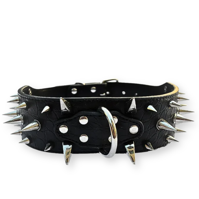 Black leather dog collar with silver spikes on a white background