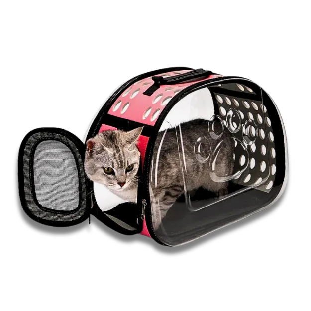 Cat inside a transparent pet carrier with pink interior on a white background