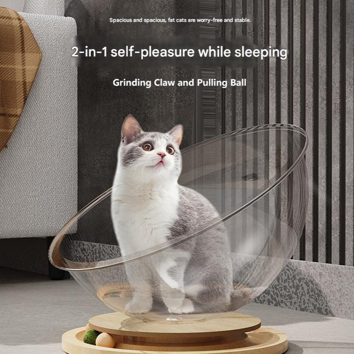 Cat sitting inside a transparent ball with wooden base on a surface, promotional text above.