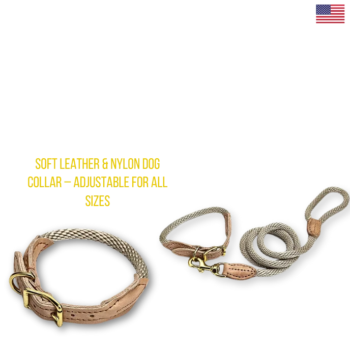 Dog collar and leash set with soft leather and nylon material on a white background.