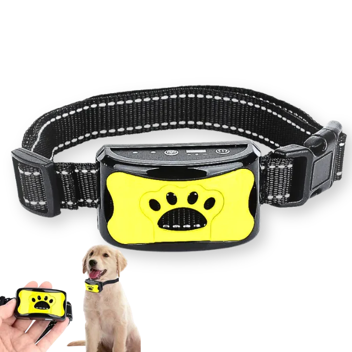 Dog collar with remote control on a white background