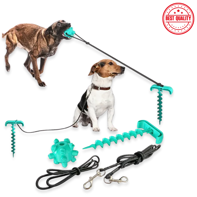 Dog toy set with a leash and chew toy on a white background, featuring 'Best Quality' stamp.