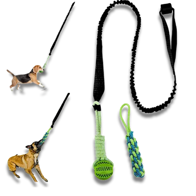 Dog toys with a ball and handle, and a leash on a white background.