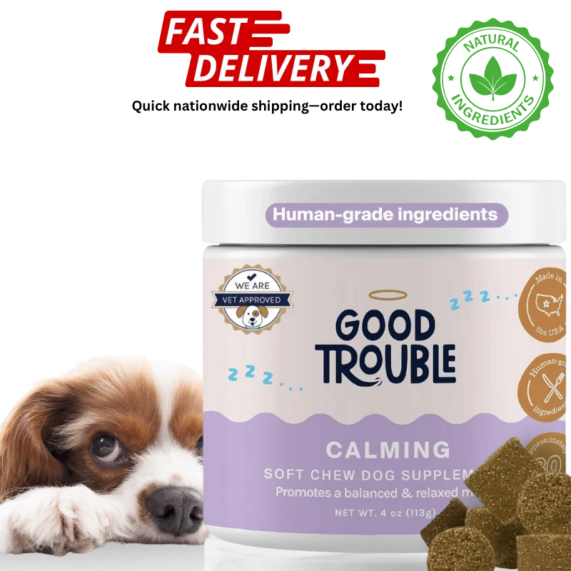 Good Trouble calming soft chew dog supplement with a dog and fast delivery text on a white background