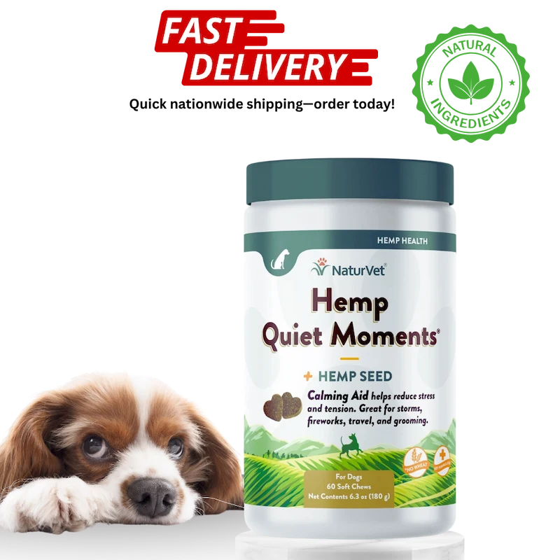 Hemp Quiet Moments supplement bottle for dogs with a puppy on a white background