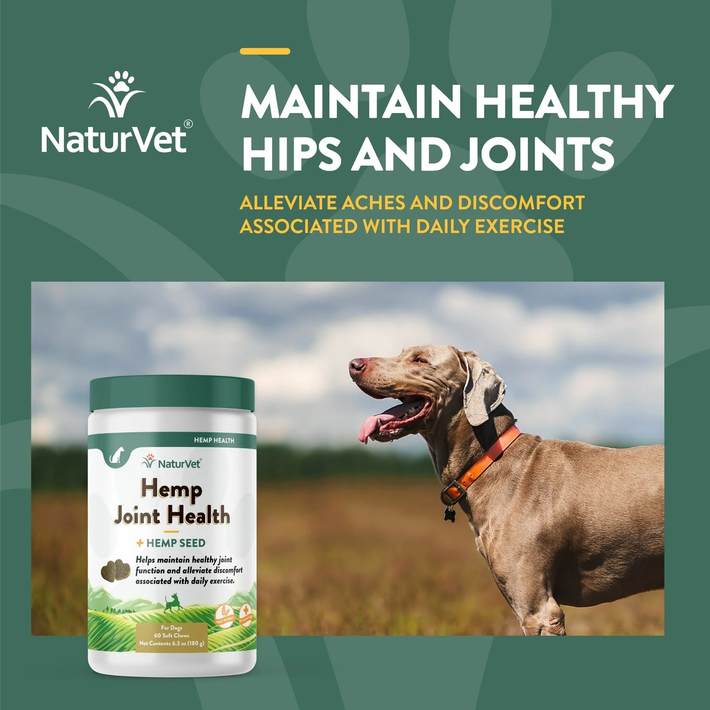 NaturVet Hemp Joint Health supplement with a dog in a field on a green background