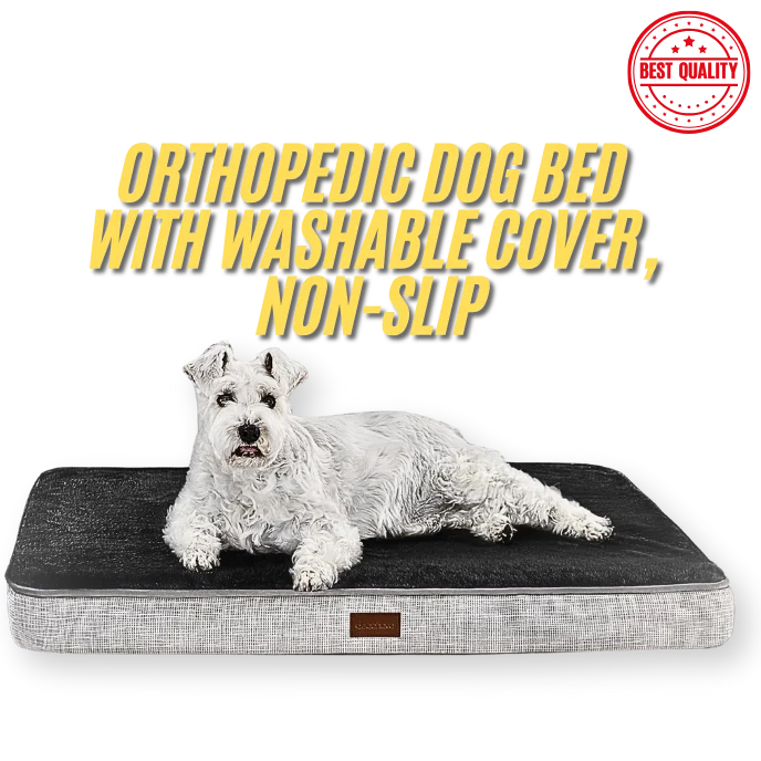 Dog lying on an orthopedic dog bed with washable cover and non-slip feature, on a white background.