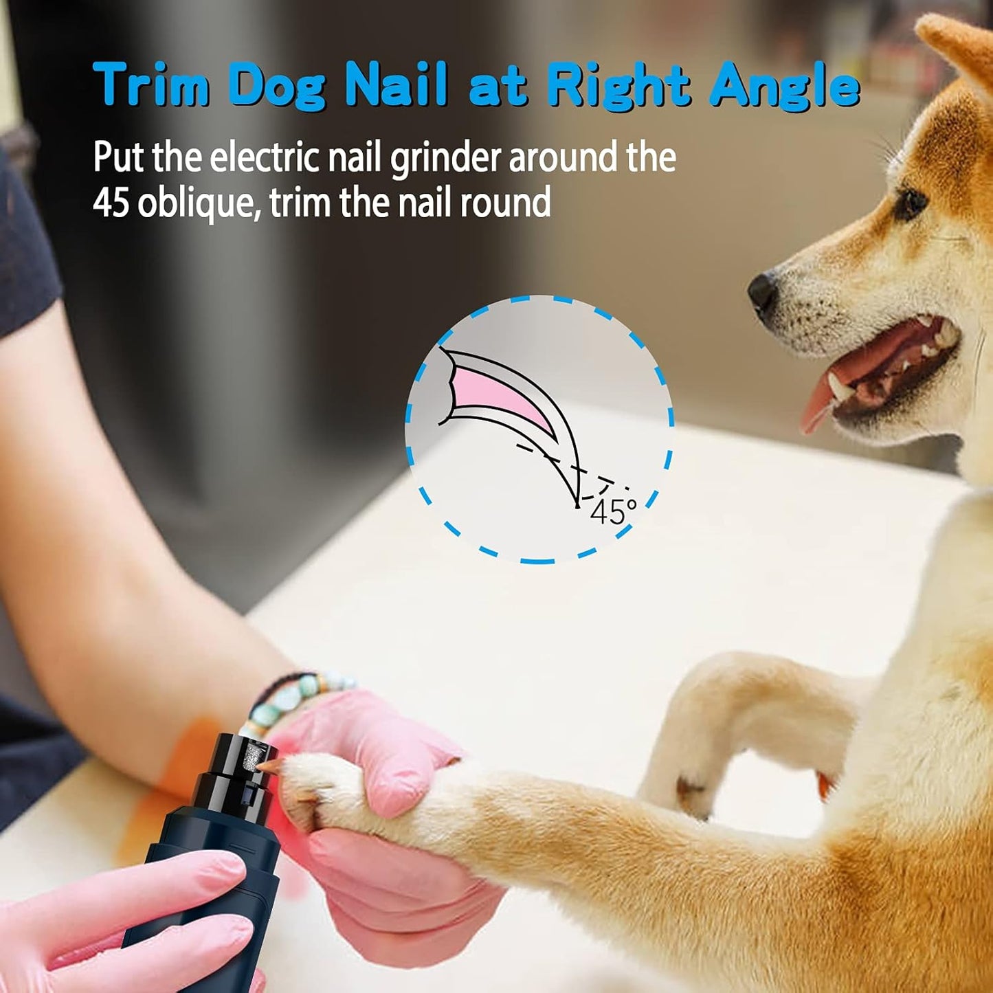 Person trimming a dog's nail with an electric nail grinder, showing proper technique.