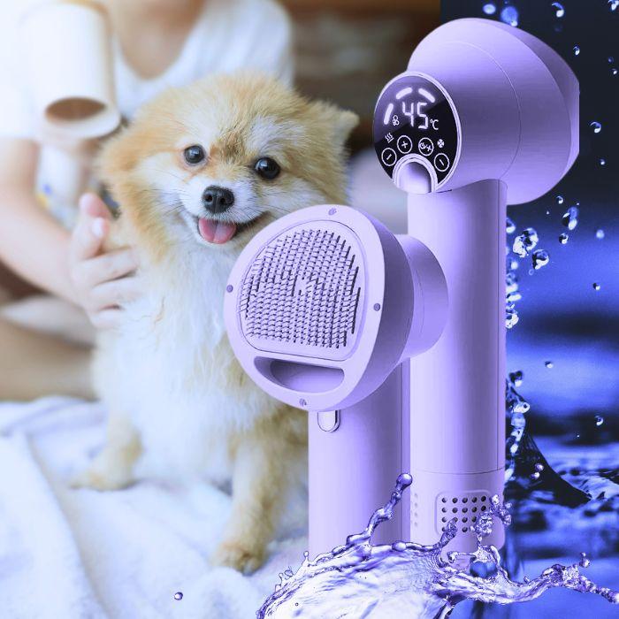 Pet hair dryer with a dog being dried, surrounded by water droplets.