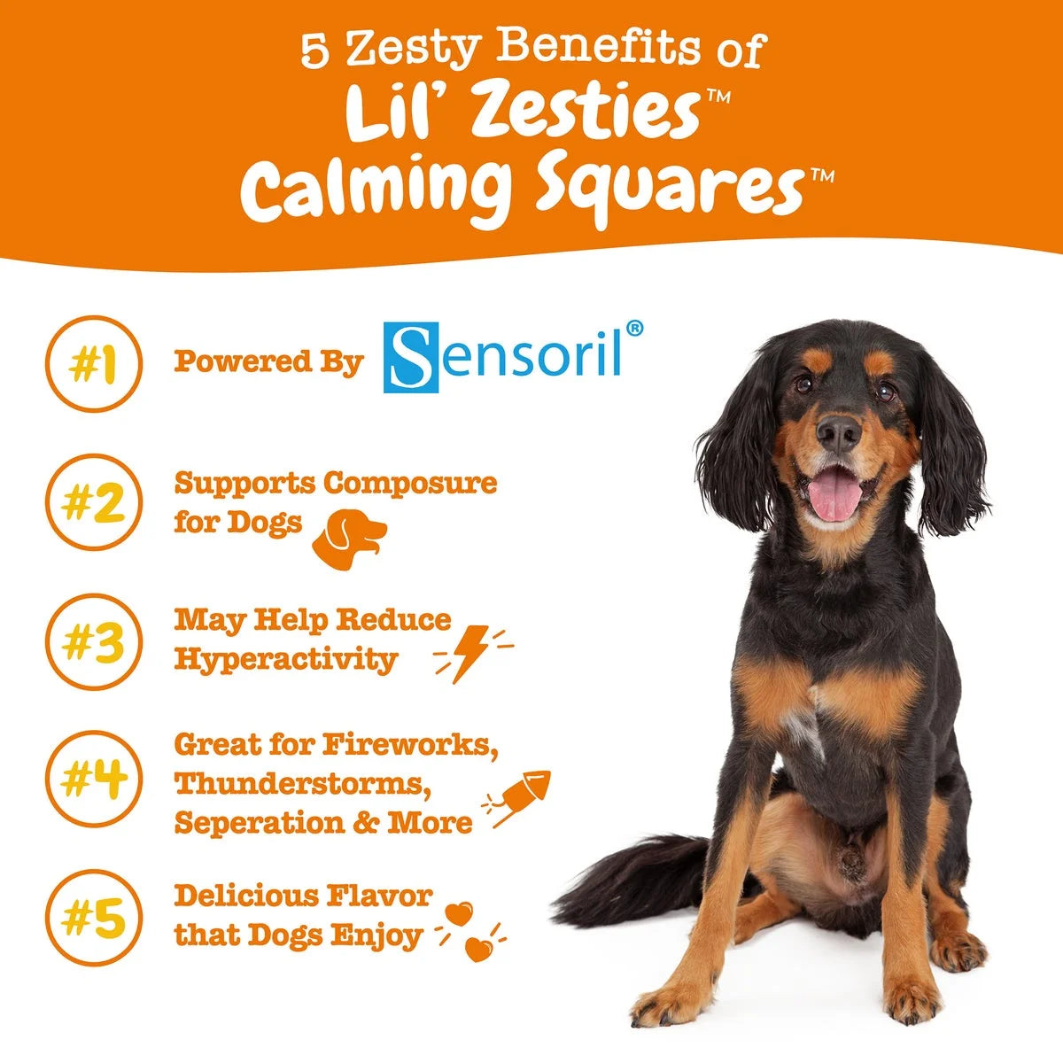 Dog sitting on a white background with text about Lil' Zesties Calming Squares and Sensoril.