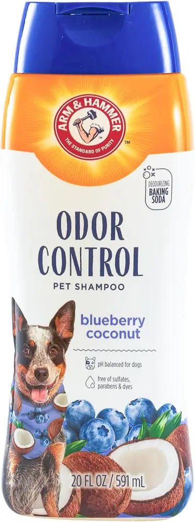 Arm & Hammer Odor Control Pet Shampoo 20 fl oz bottle in Blueberry Coconut scent featuring coconut and blueberry graphics.