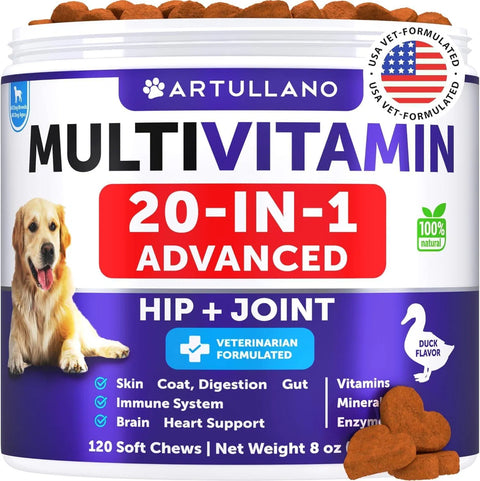 Front view of Artullano 20-in-1 Advanced Multivitamin for dogs, 120 soft chews, duck flavor, featuring a Golden Retriever.