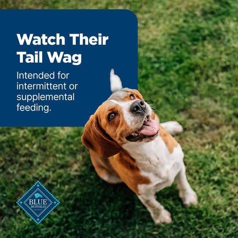 A happy Beagle dog looking up with its tail wagging, intended for supplemental feeding with Blue Buffalo treats.