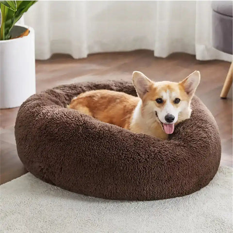 Corgi relaxing comfortably inside a coffee brown plush donut pet bed on a rug in a modern living room setting.