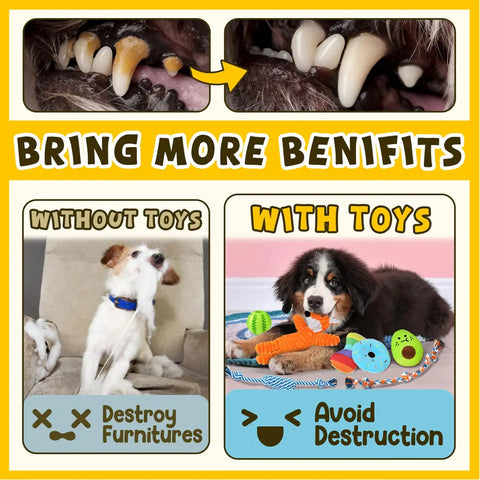 Comparison infographic showing how puppy chew toys prevent bored dogs from destroying furniture and help remove yellow plaque to maintain clean, healthy dog teeth.