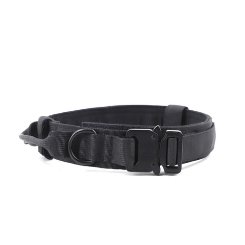 Black dog collar with secure buckle on white background for everyday walks and outdoor use
