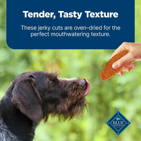Close up of a dog licking its nose while being offered a tender, oven-dried Blue Buffalo jerky cut treat.