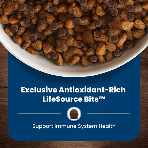 Close-up of dog food kibble highlighting the dark, antioxidant-rich LifeSource Bits