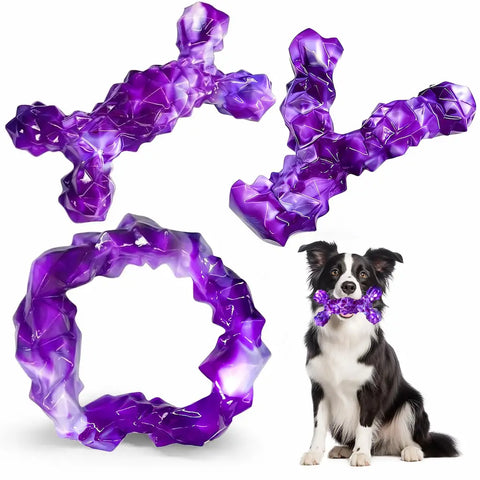 Border Collie with a purple geometric-textured bone and ring toy set for aggressive chewers.