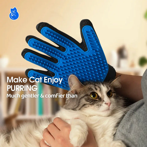 Fluffy cat enjoying a gentle massage and purring while being brushed with a blue grooming glove