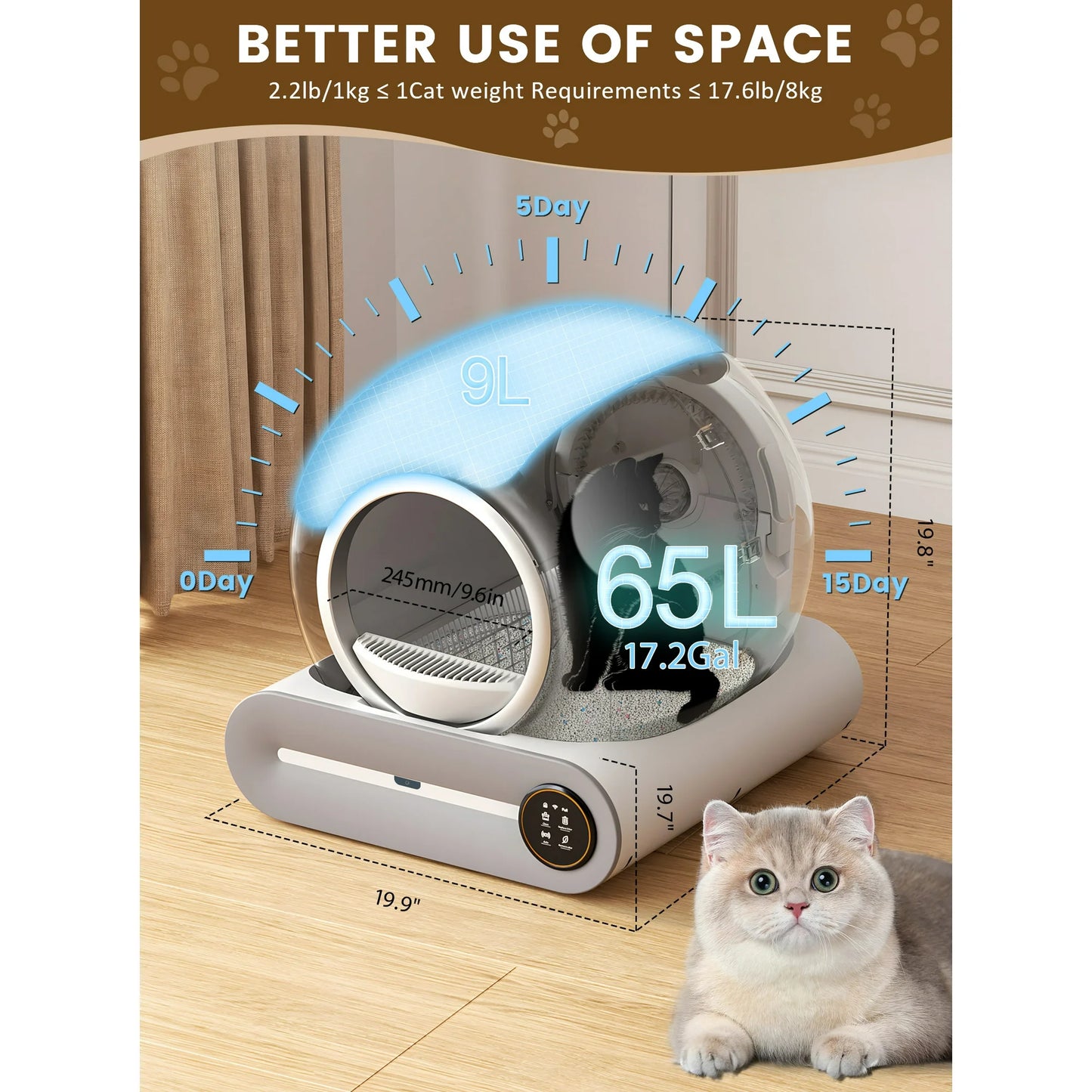 cat litter box