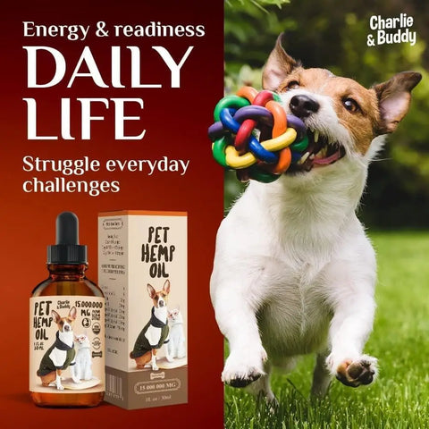 Charlie & Buddy Pet Hemp Oil with an energetic dog promoting playtime.