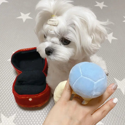 Close-up of an interactive dog toy ring with voice squeaker and treat dispenser