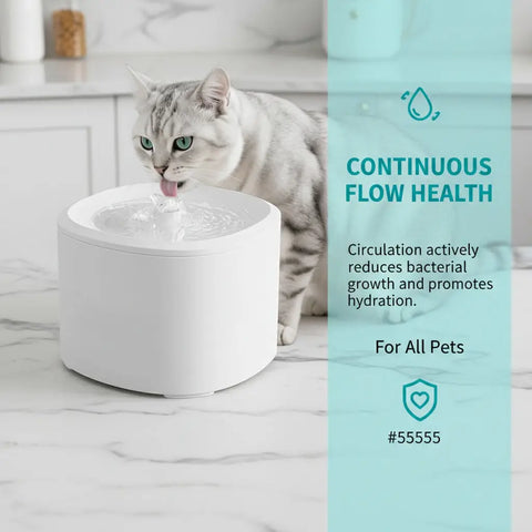 Silver tabby cat drinking from a continuous flow circulating water fountain that reduces bacterial growth.