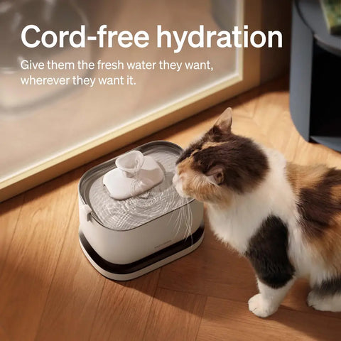 Calico cat drinking from a PETLIBRO cordless battery-operated water fountain on a wooden floor.