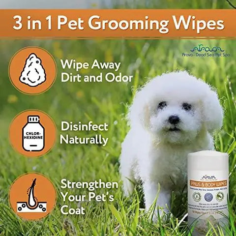 Cordless grooming tool for pet dog shedding season.