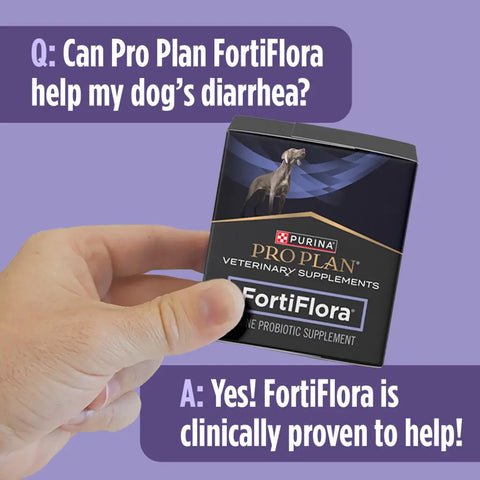 Hand holding a box of Purina Pro Plan FortiFlora with a text overlay confirming that FortiFlora is clinically proven to help treat dog diarrhea.