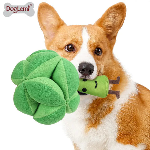 dog-chewing-green-dental-health-toy | Dog chewing on a green broccoli-shaped toy for dental health and teething relief