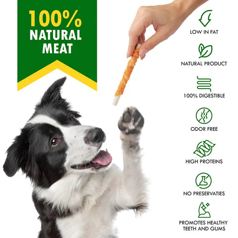 Dog looking at a hand holding a treat with product features listed.