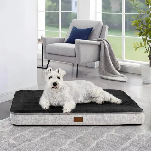 Dog lying on a large pet bed in a living room with chair and window.