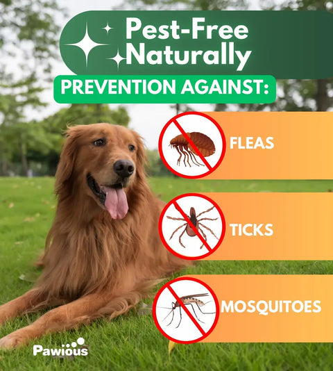 Dog lying on grass with pest control against fleas, ticks, mosquitoes.