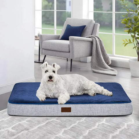 Dog on blue and gray orthopedic bed with memory foam and waterproof design.