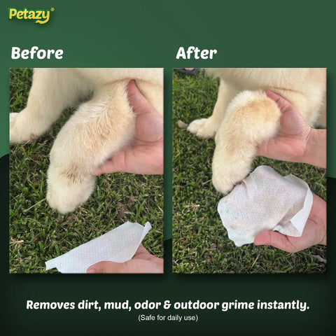 Before and after comparison of cleaning muddy dog paws using Petazy dirt and odor removing pet wipes.