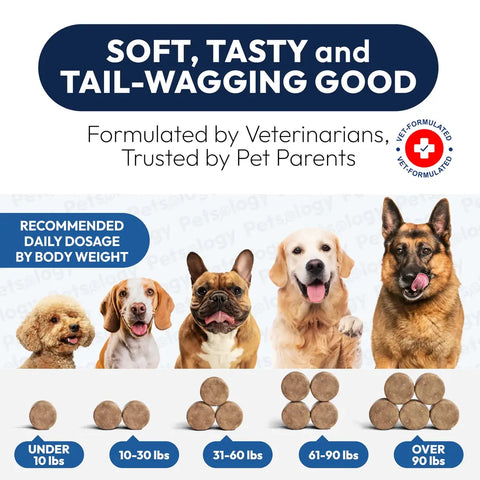 Veterinarian formulated daily dosage chart for dogs based on body weight ranging from under 10 lbs to over 90 lbs with corresponding soft chew counts.