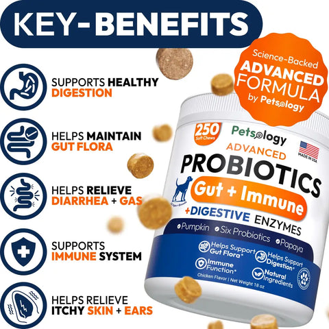 Infographic listing key benefits of Petsology dog probiotics including healthy digestion, gut flora maintenance, gas and diarrhea relief, immune support, and itchy skin relief.
