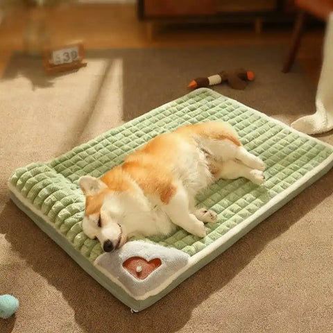 Dog sleeping on green pet bed with heart design, surrounded by toys.