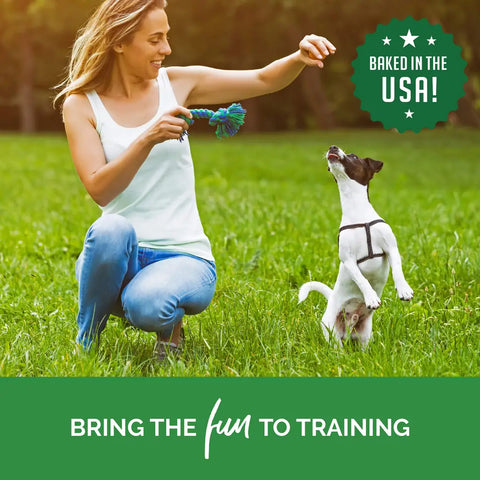 A woman playing with her dog in a grassy park using a rope toy with the text bring the fun to training.