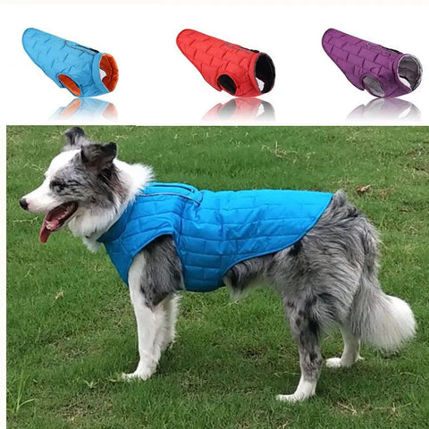 Dog wearing a blue quilted coat with three other colored coats displayed.