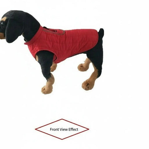 Dog wearing a red puffer vest on a white background.