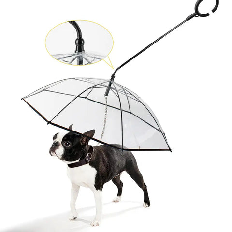Dog wearing a transparent pet umbrella with PawVortex branding.