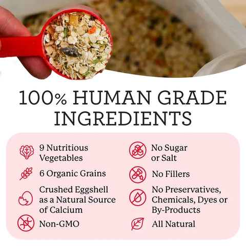 A red measuring scoop filled with Dr. Harvey's 100% human-grade dry dog food pre-mix showing grains, vegetables, and crushed eggshell.