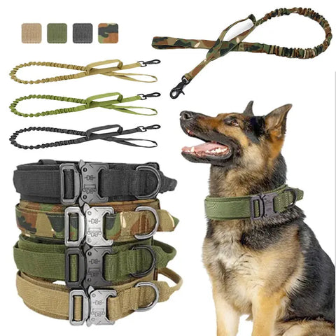 German Shepherd wearing a tactical dog collar and leash set in multiple colors