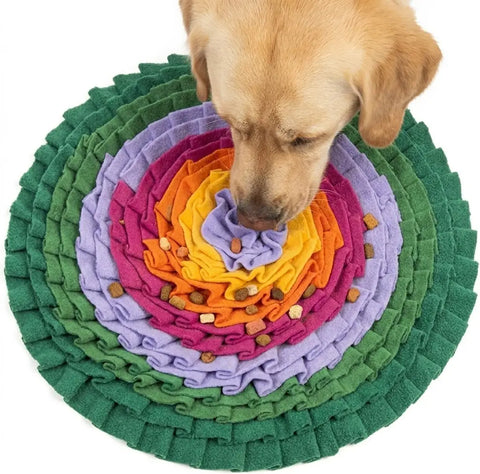 Overhead view of a Golden Retriever sniffing kibble hidden inside a rainbow circular slow feeder snuffle mat.